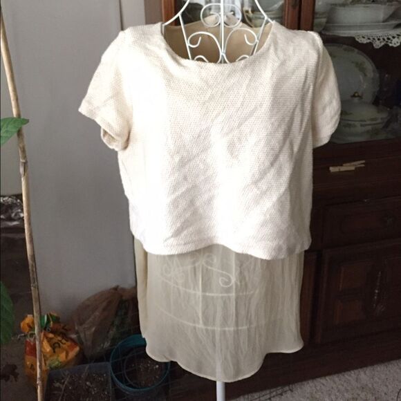 Zara sheer underlay cream short sleeve top size L - Picture 3 of 12
